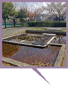 親水施設